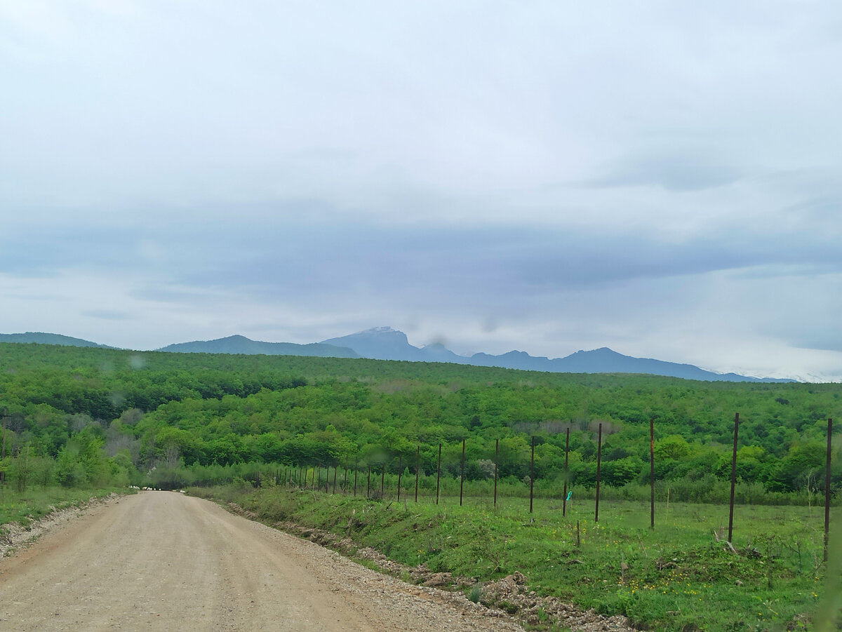 Дорога к поселку Новопрохладное