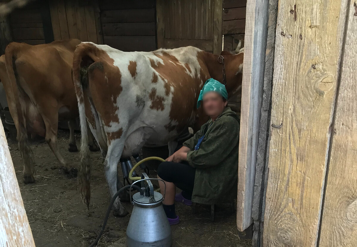 На фото лето 2022 года.