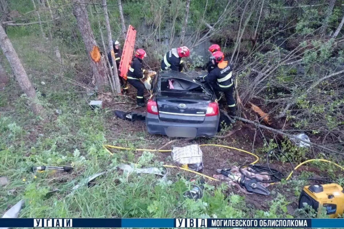 Смертельная авария в Славгородском районе: после наезда на лося Datsun  врезался в дерево | abw.by | Дзен