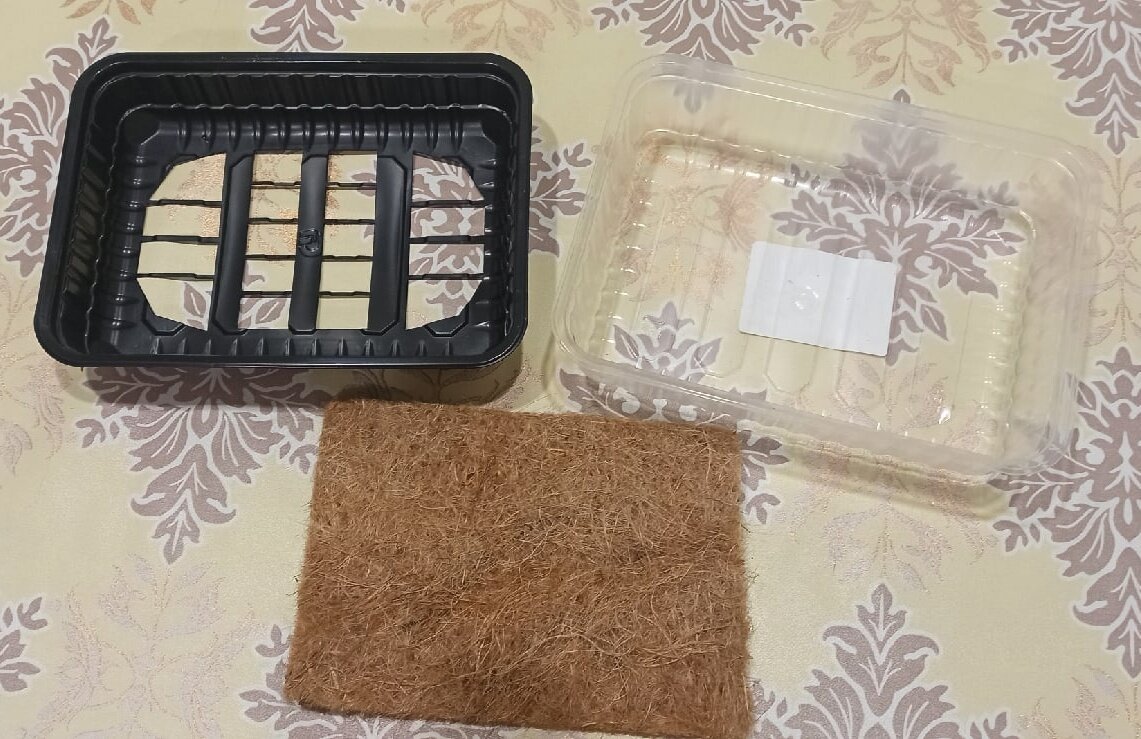 О двойном контейнере для выращивания микрозелени вместо грунта - джутовый коврик. Фото Тамары Акиньшиной