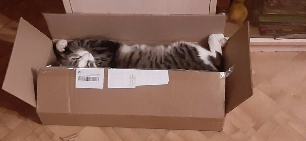 Доставку заказывали?