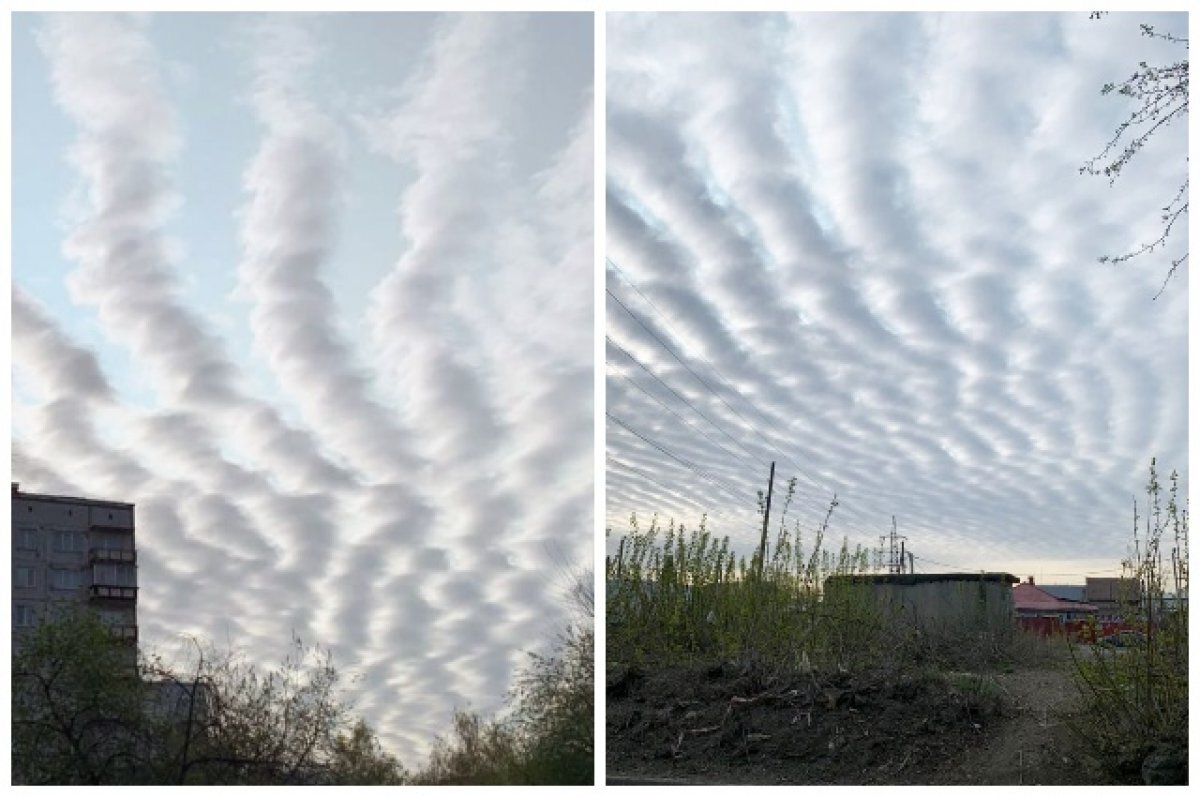    Жителей Новосибирска удивили необычные облака в форме хребтов