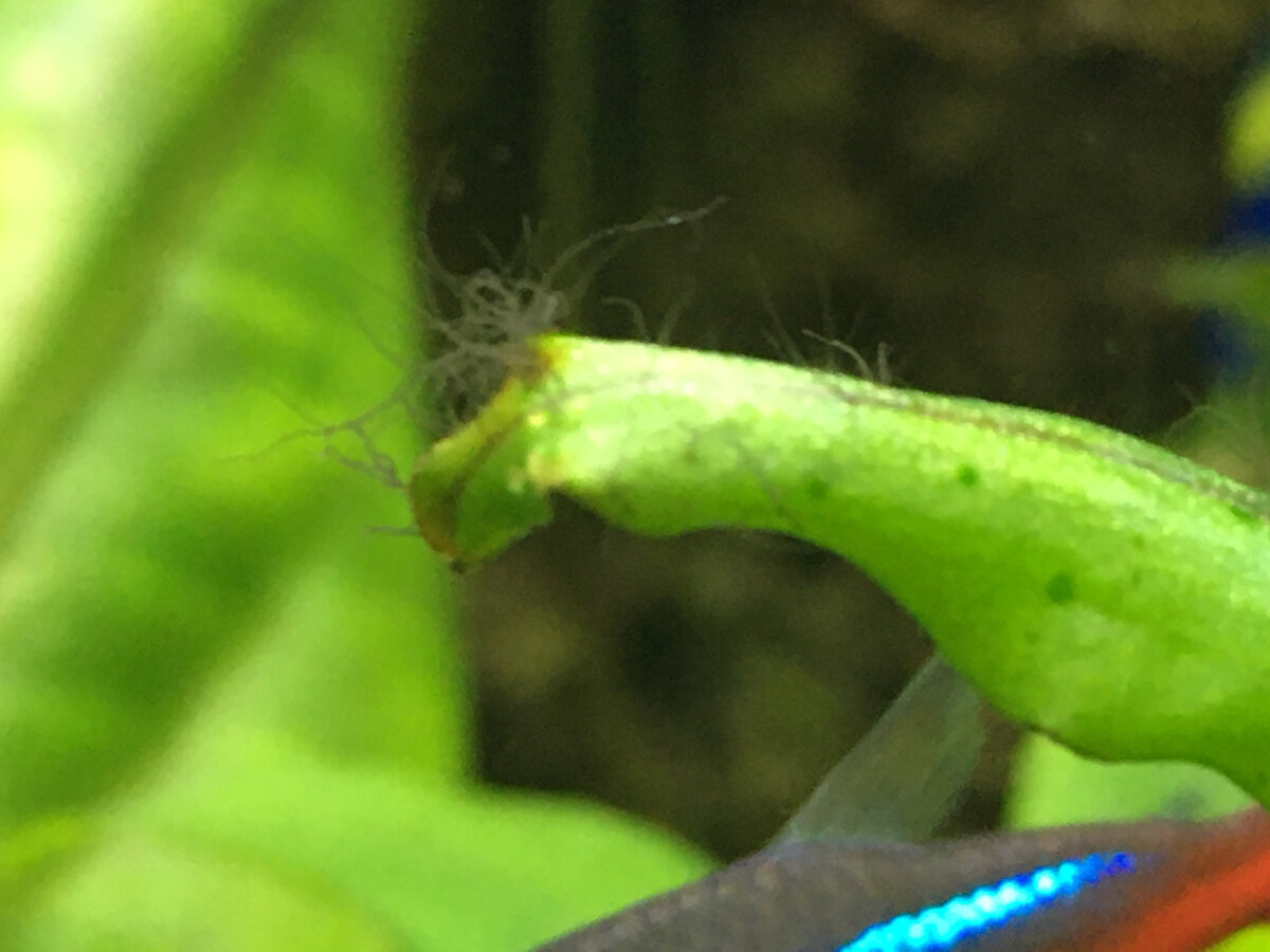 Листаем фото --->