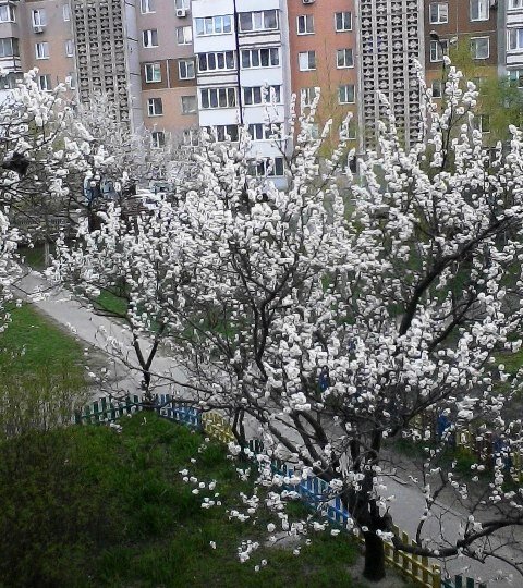 Вид с моего балкона