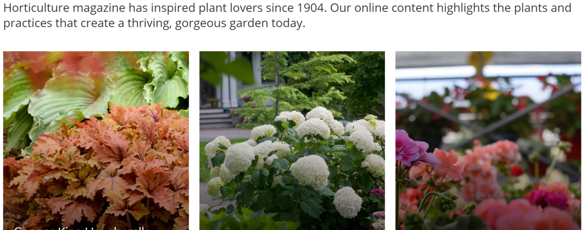 Cкриншот-цитата с сайта журнала Horticulture magazine  https://www.hortmag.com/ 