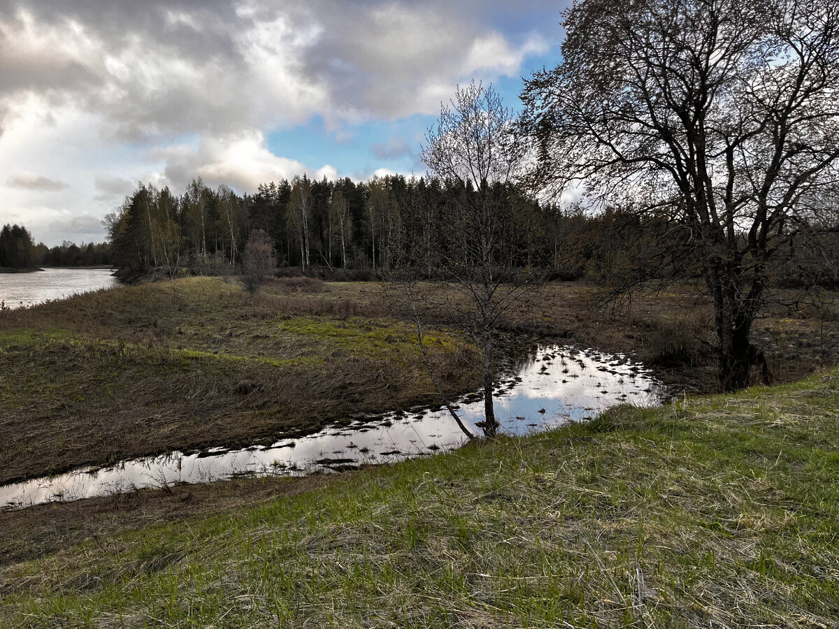 Молога. 5 мая 18:58