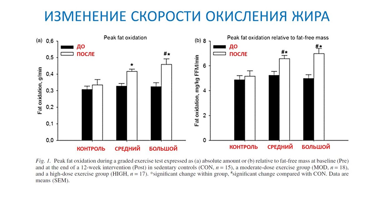 Объем тренировок и рост выносливости. Научный эксперимент | Василий Волков  | Дзен