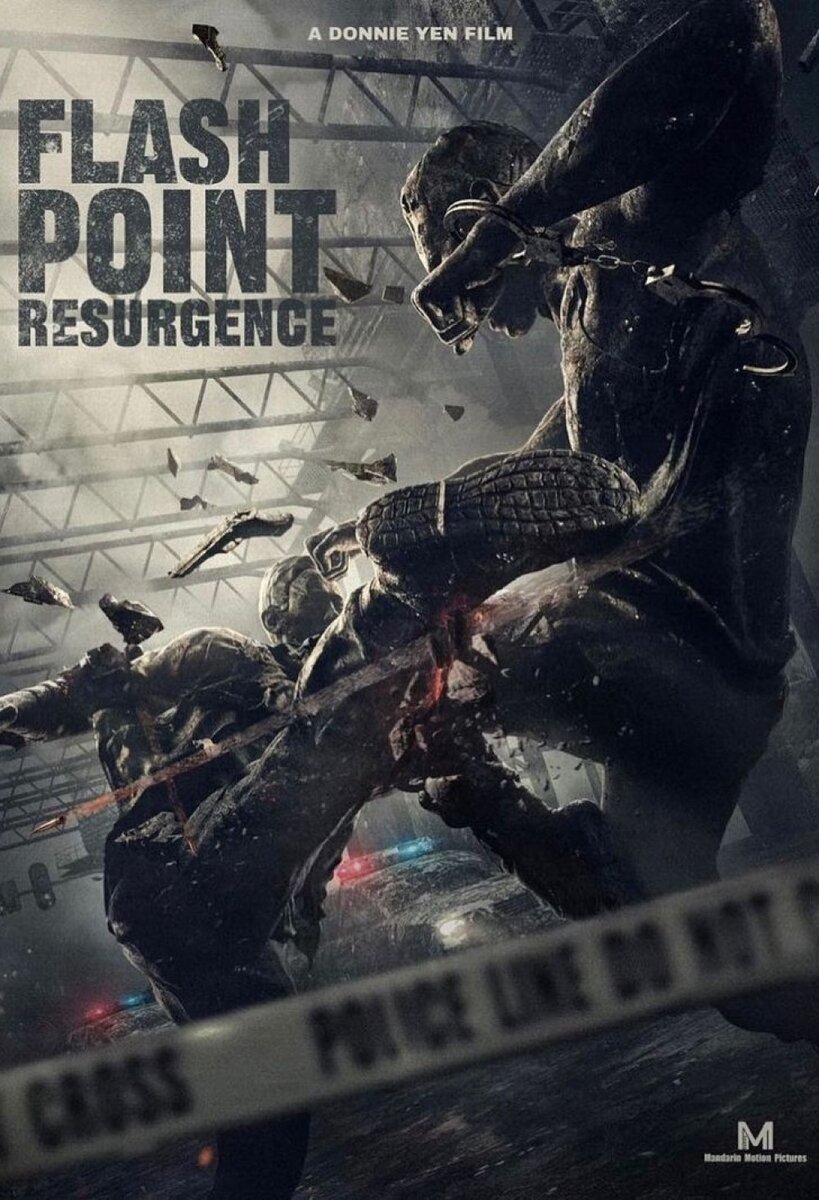     Постер фильма «Flash Point Resurgence» / Фото: Instagram*/donnieyenofficial/ *соцсеть признана в России экстремистской и запрещена