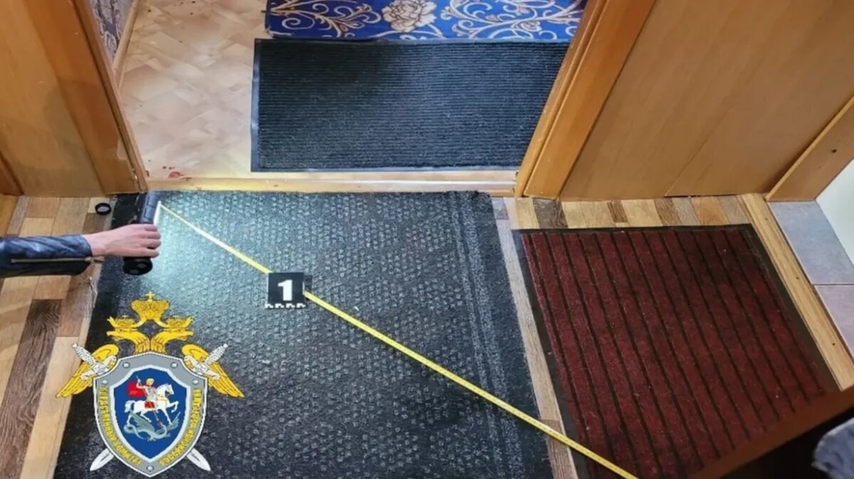 Фото: СК РФ по НСО.