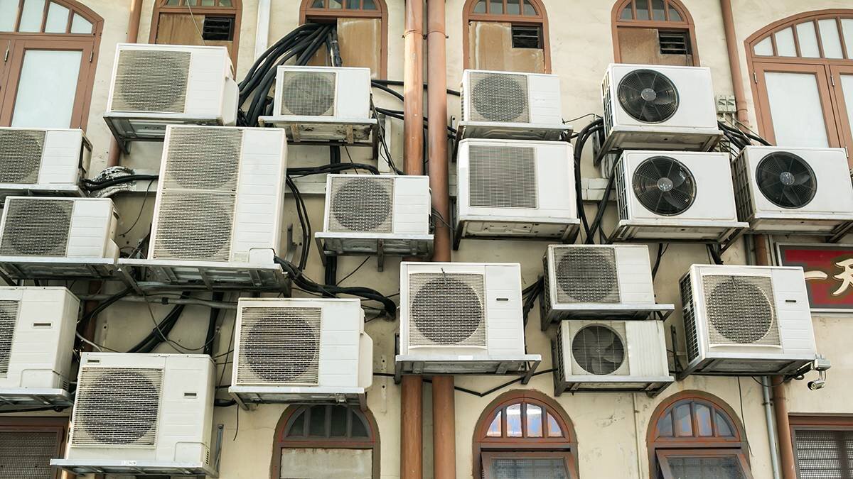    Фото: shutterstock