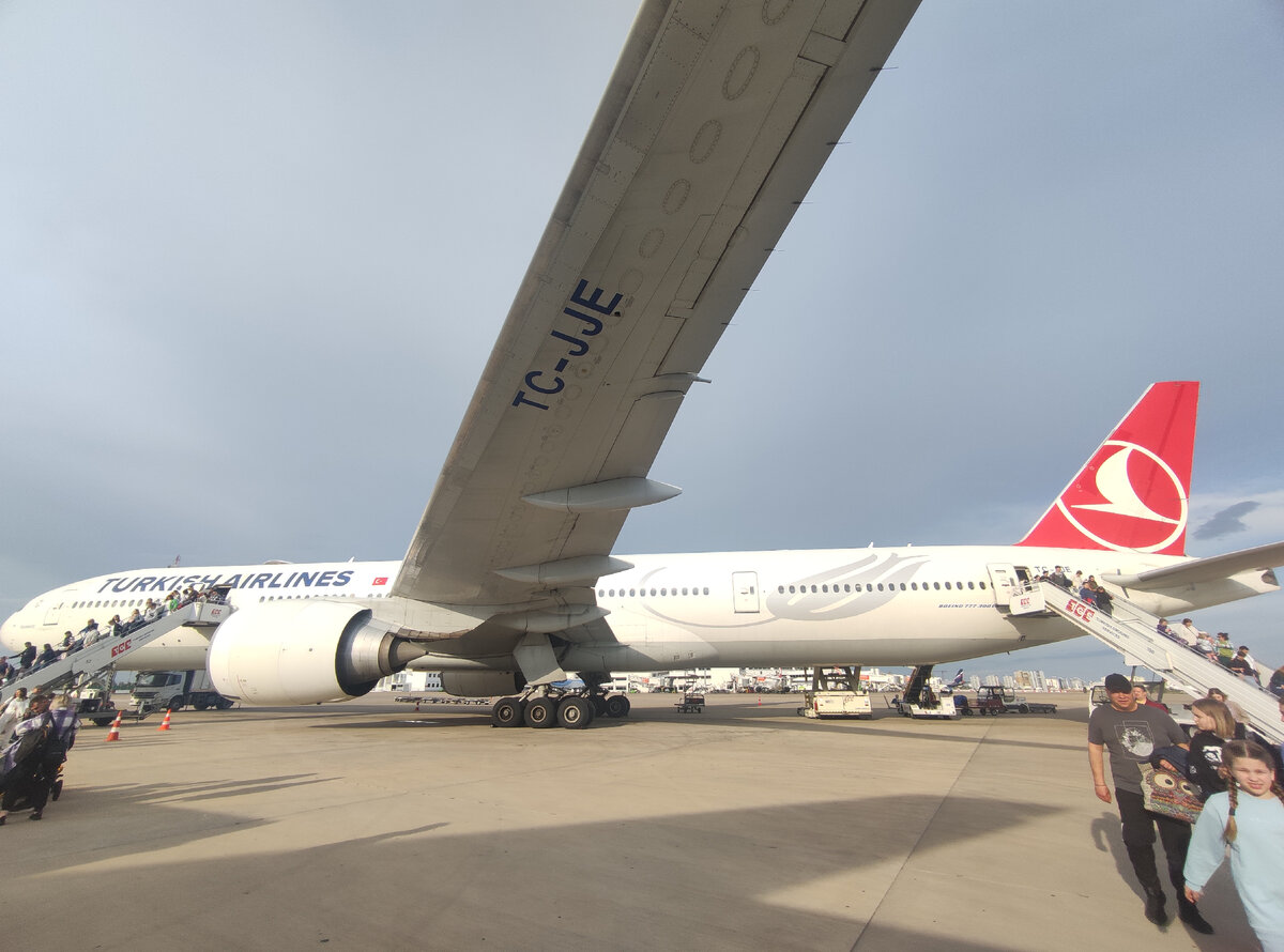 Так как мой рейс отменили, я внезапно полетела Туркишами