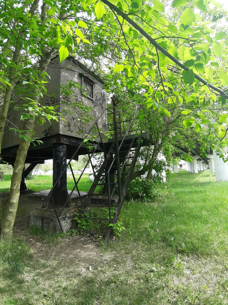 Такая грустная 🚇 «Бунинская Аллея», Бутовская линия | Развитие ...