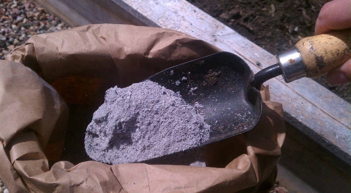 Источник:https://u-florista.ru