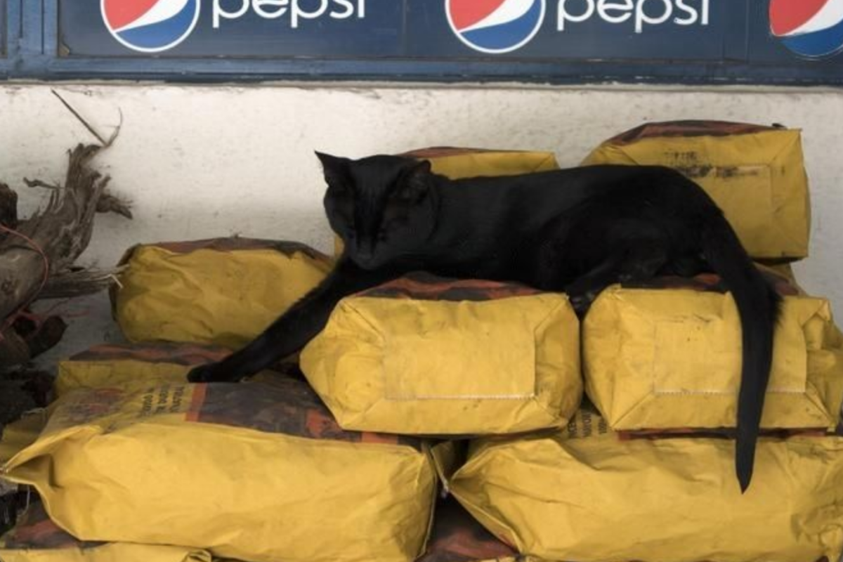 ���� � �� ���������. �������� ����: ru.freepik.com