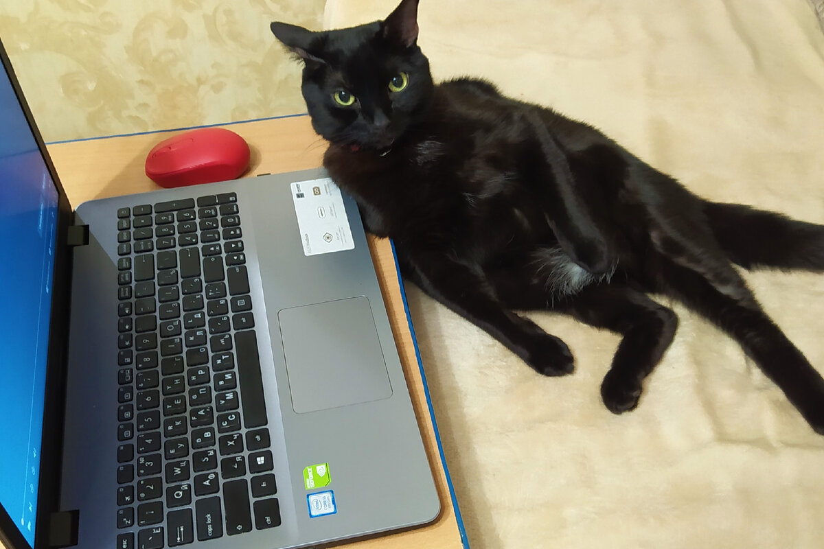 ���� � �� ���������. ���� �� ������� ������