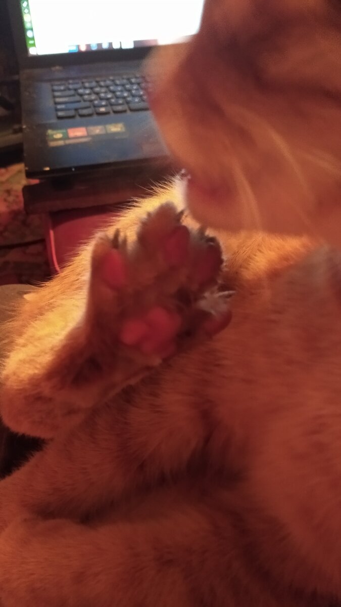 Личное  фото.