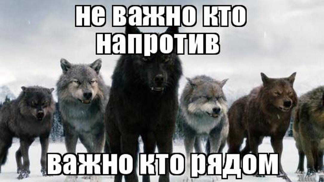 Как важно в этой жизни скоротечной где столько лжи предательства и зла картинки