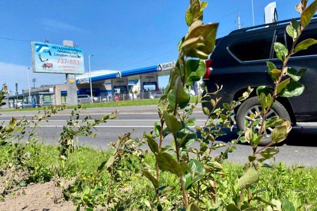   Фото из архива Калининград.Ru