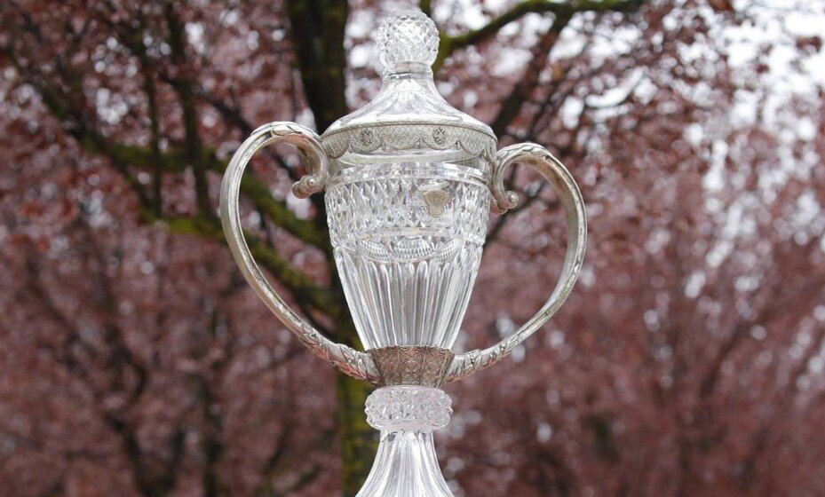    Кубок России проходит в новом формате. Фото: Фонбет Кубок России по футболу