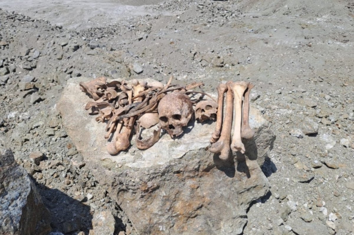   В Гайском ГО нашли полувековые останки нескольких людей.