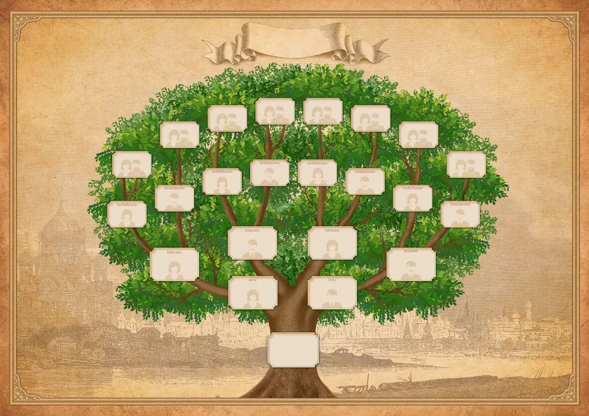 Найти свое древо. Родословная семейное Древо. Родословная дерево Стародубовский. Генеалогия генеалогическое Древо. Генетическое дерево.