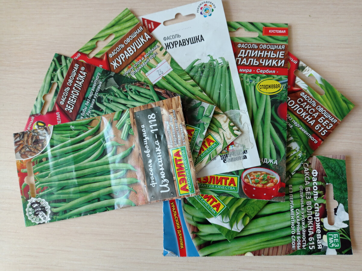 Вот такие семена фасоли посеяла. Листайте галерею