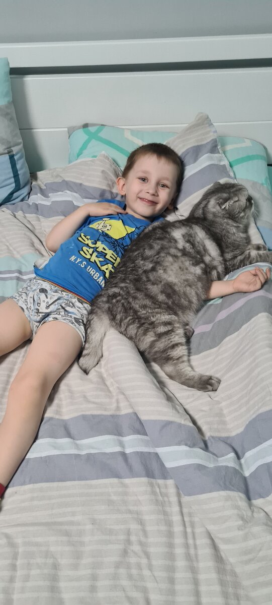 Без котика- жизнь не мила))