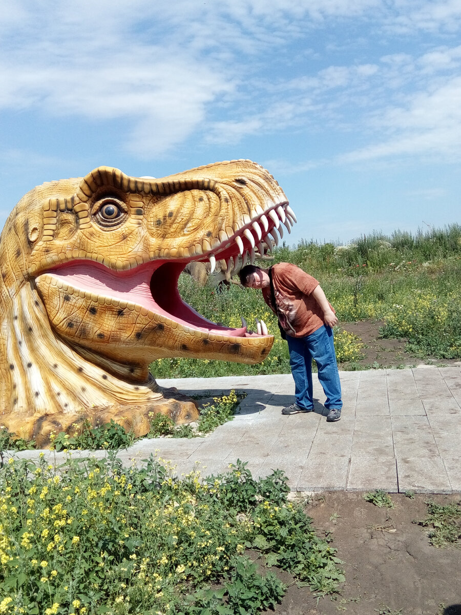 Доктор, кто у нас сегодня на обед?