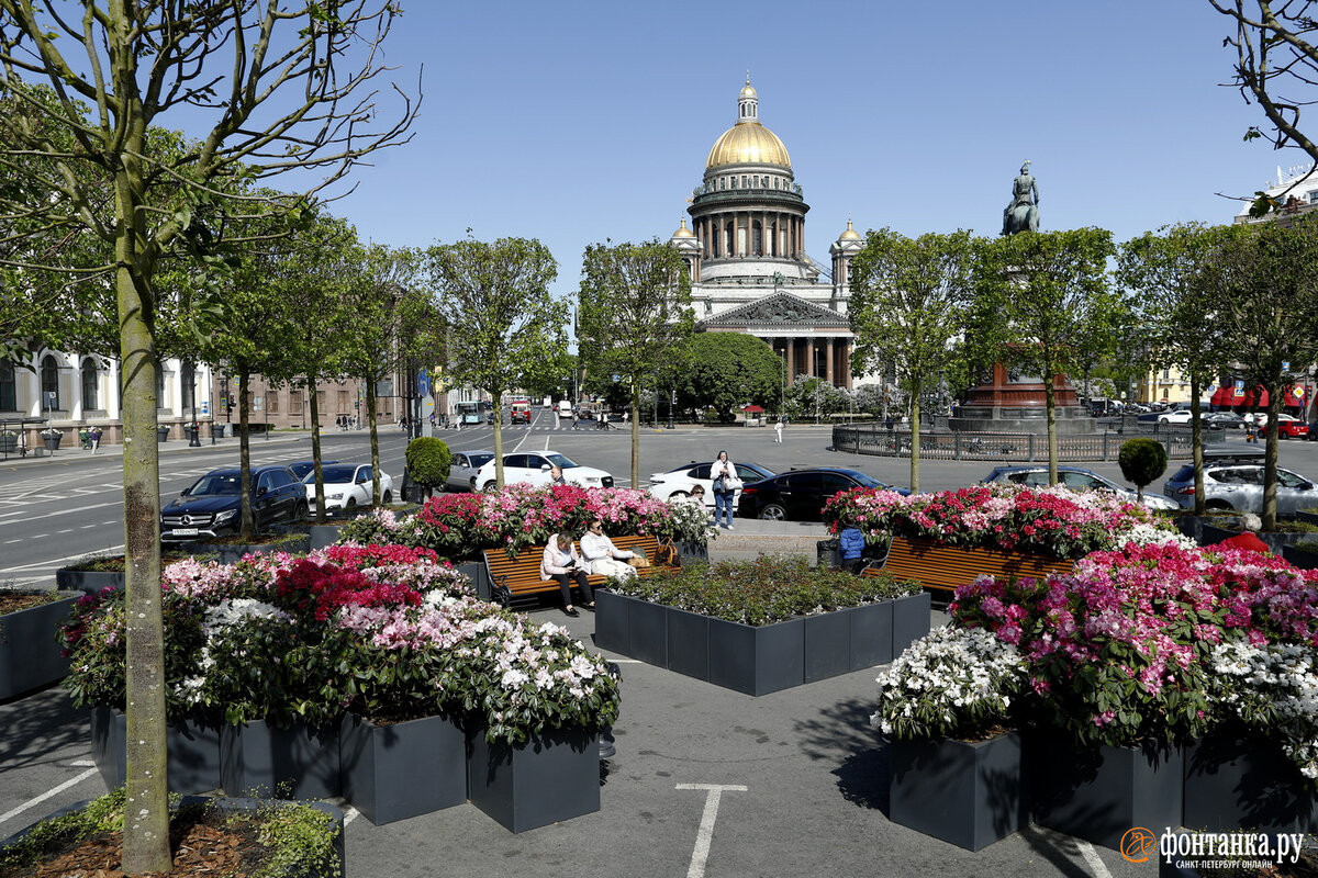 некрасовский сад в санкт петербурге