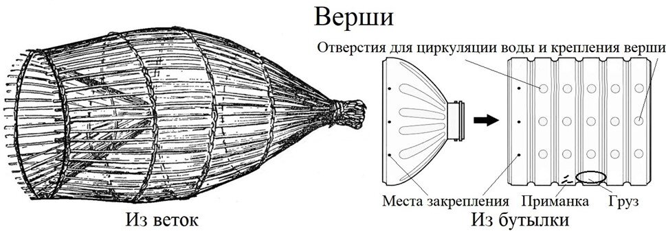 Новогодний декор: Как правильно обработать еловые веточки, чтобы использовать их для декора торта?