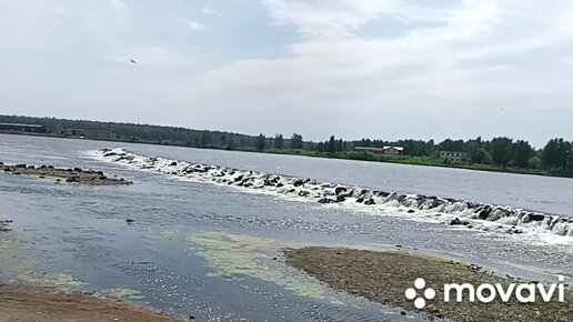 Как в жару сохранить рыбу и другой скоропорт .