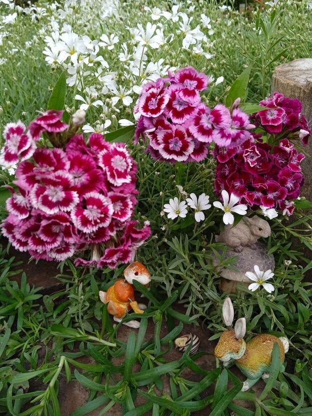 Собственное фото автора от 25 мая 2023 г.ЛЕТО! ЦВЕТОЧКИ! ЗАЙЧИКИ! И УЛИТКА!