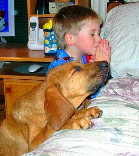 Фото из интернета