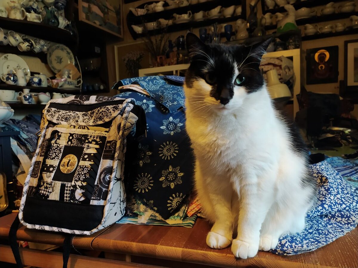 Кот Ларисы присмотрелся к моей чëрно-белой сумочке и сказал "В масть!"