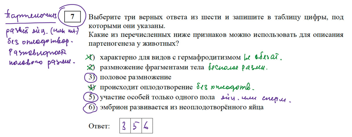 Задание 17 практика 2023