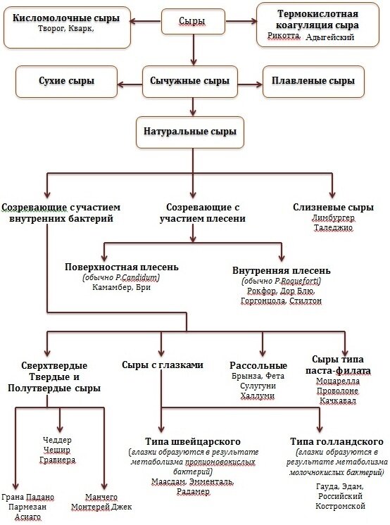 ¹ Fox, P.F., McSweeney, P.L.H.  Cheese: an overview// Cheese: Chemistry, Physics and Microbiology. Vol.1. General Aspects – Amsterdam: Elsevier Academic Press, 2004. –p.1-18