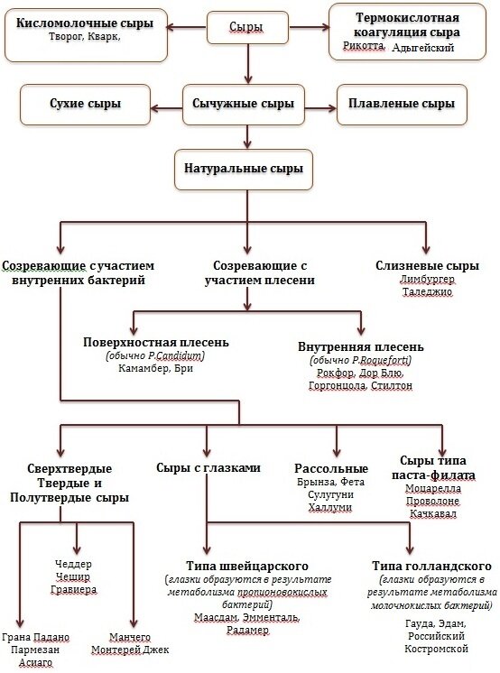 Технологическая карта сыра камамбер