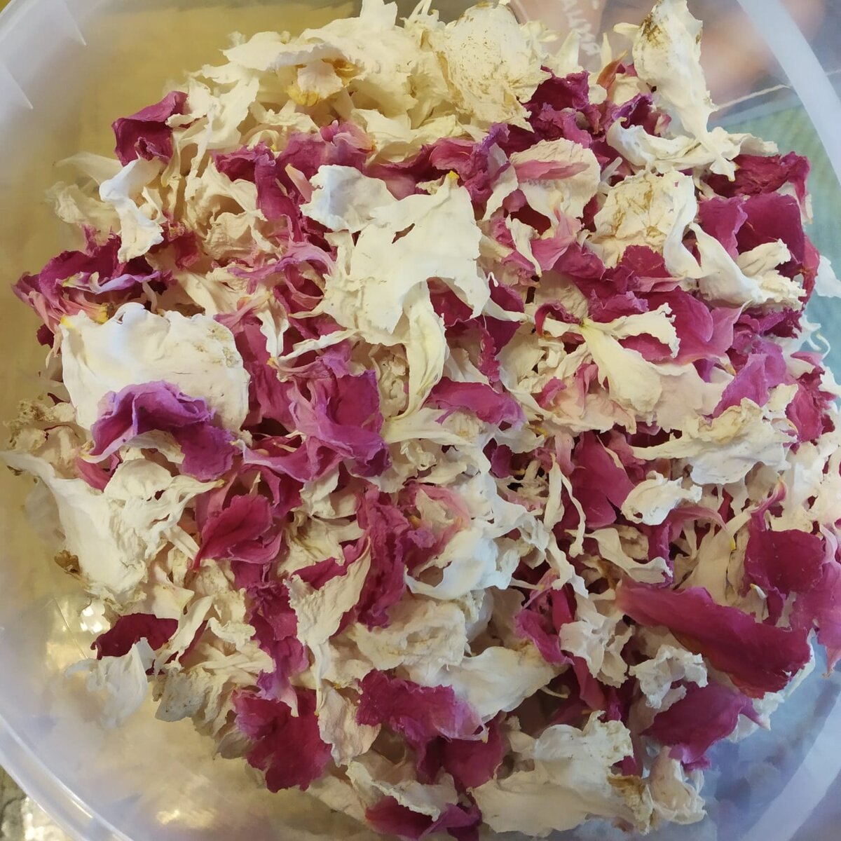 Сушим,что есть,спасаем)