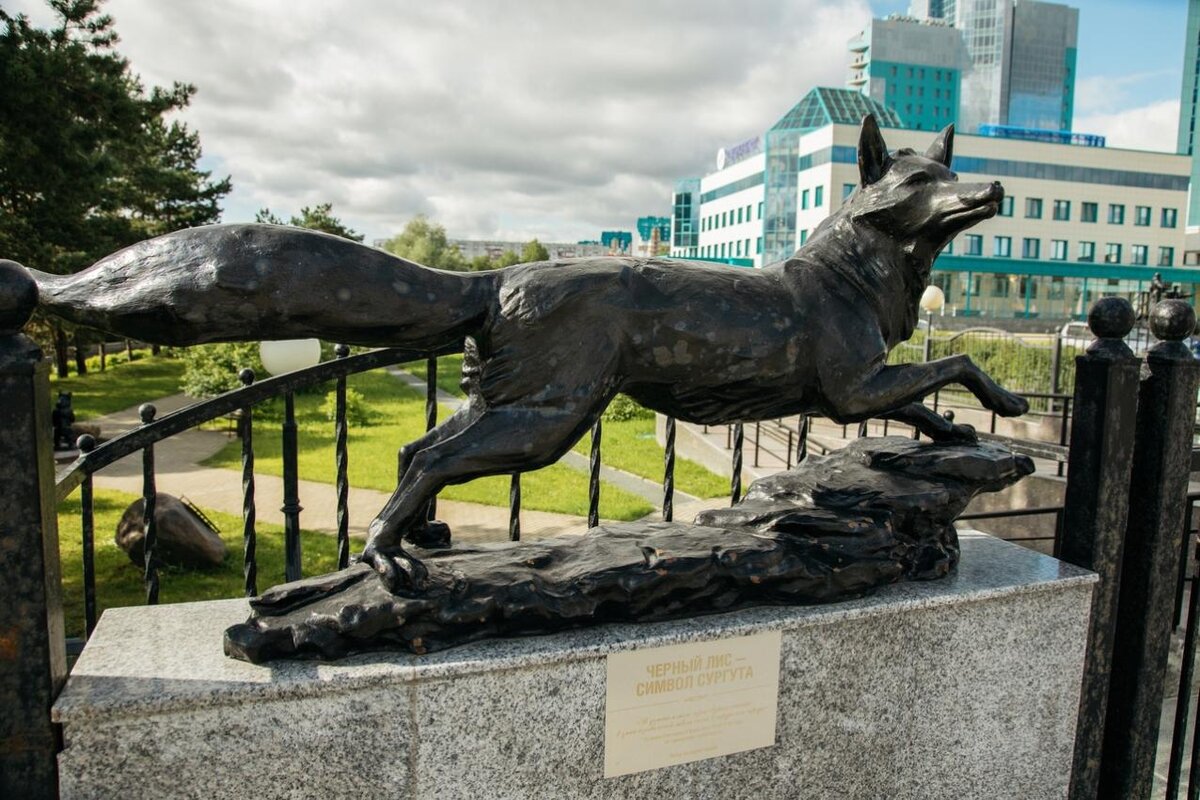    Это важно: топ-5 главных новостей Сургута за прошедшую неделю