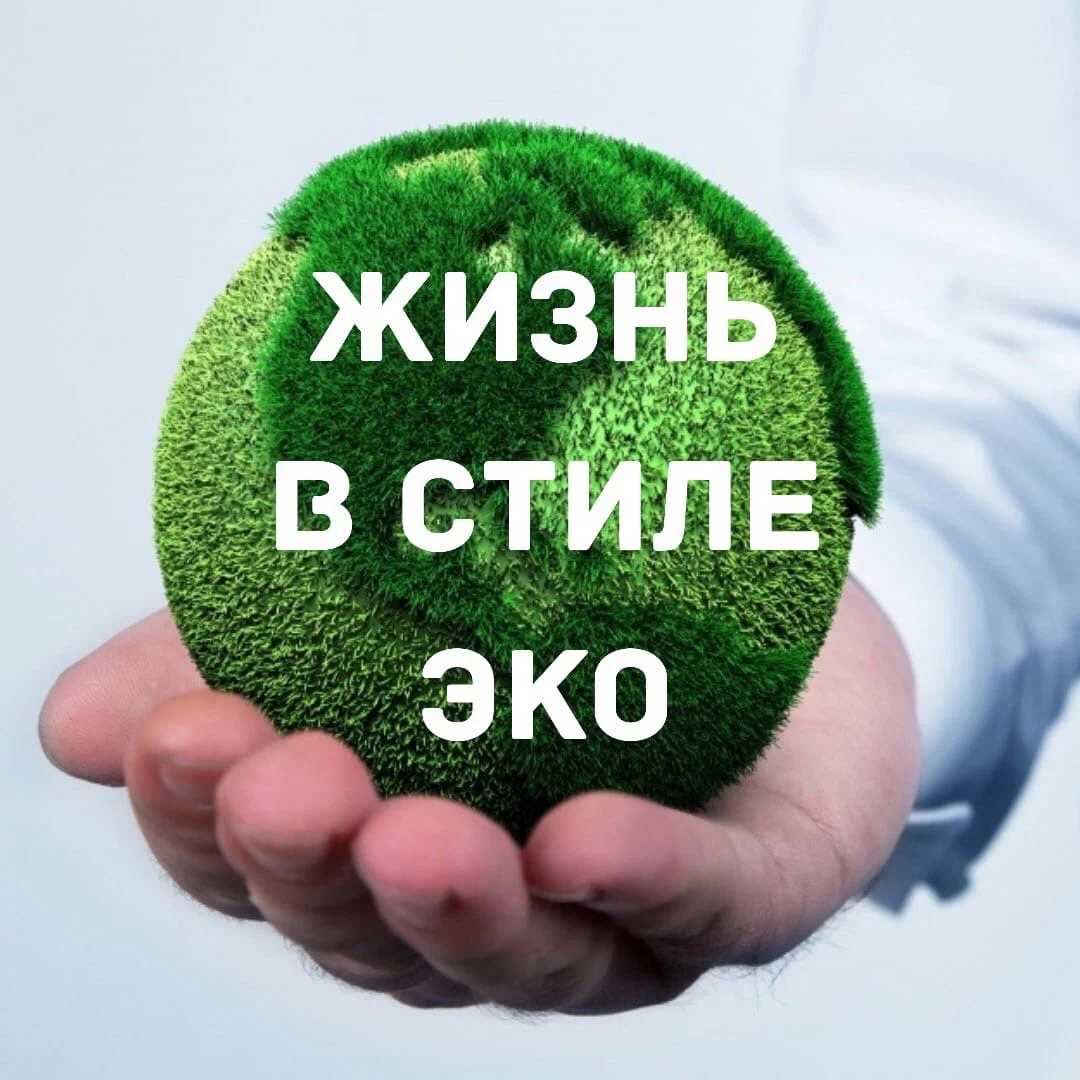 Вот даже здесь ЭКО, кажется, используется исключительно в экологическом контексте. На мой, скромный взгляд это странно. 