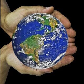 Картинка из интернета