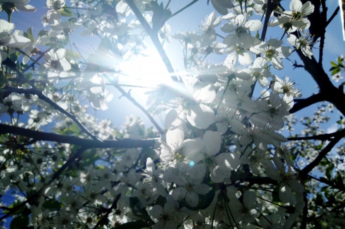    Мобильный оператор создал один из лучших экологических проектов России