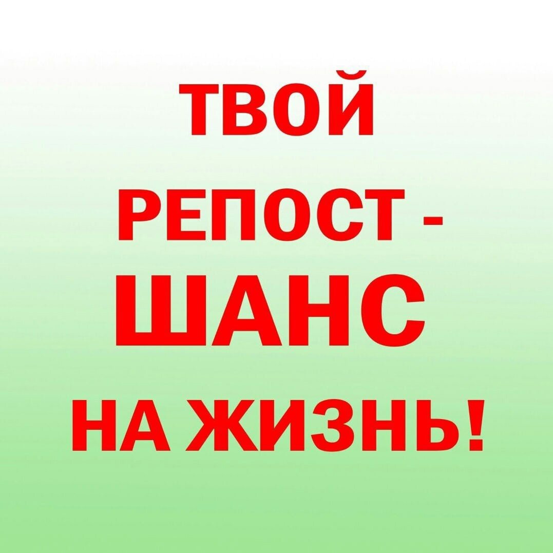 Помогите спасти жизнь картинки