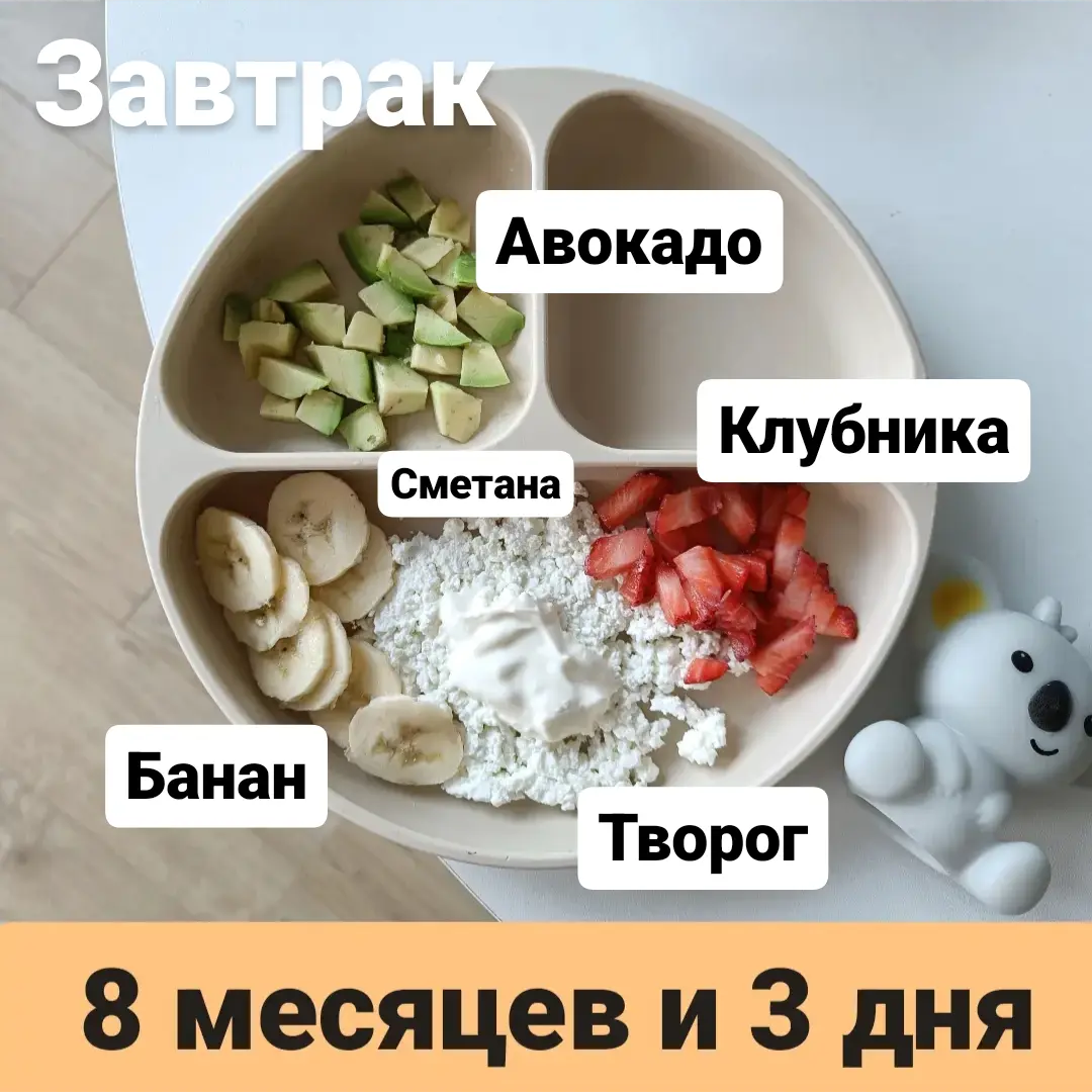 Пример тарелки в 8 месяцев 