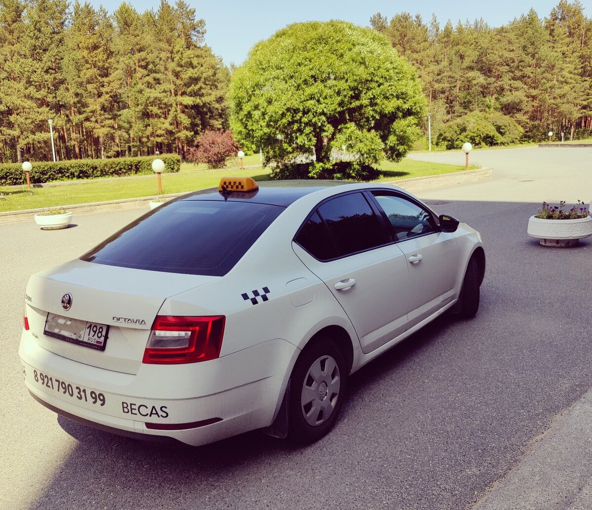 питерское такси