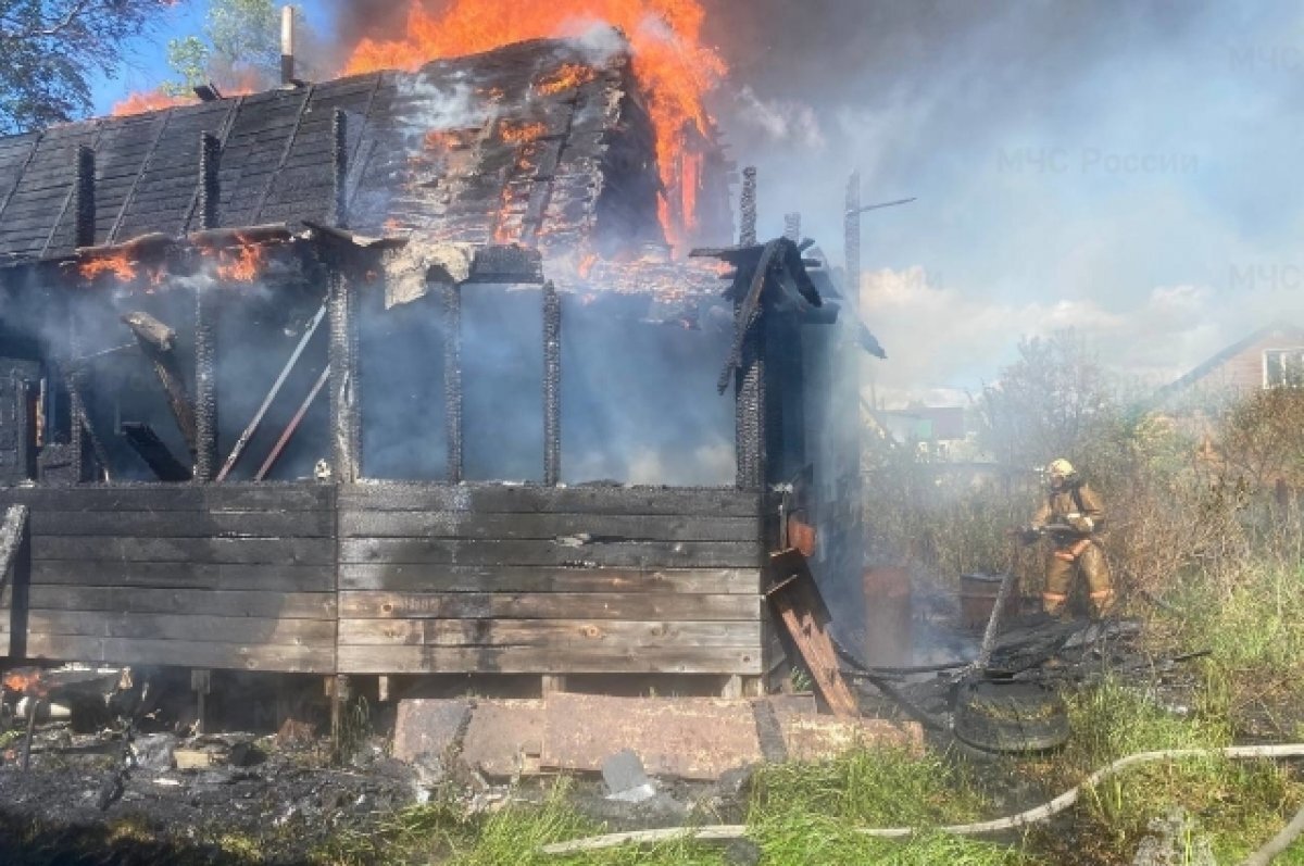    40 человек погибли на пожарах в Псковской области с января по май