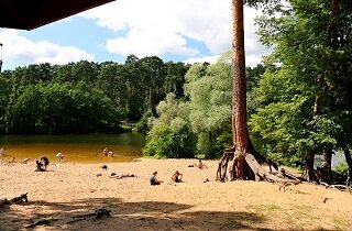 Фото из открытого источника.