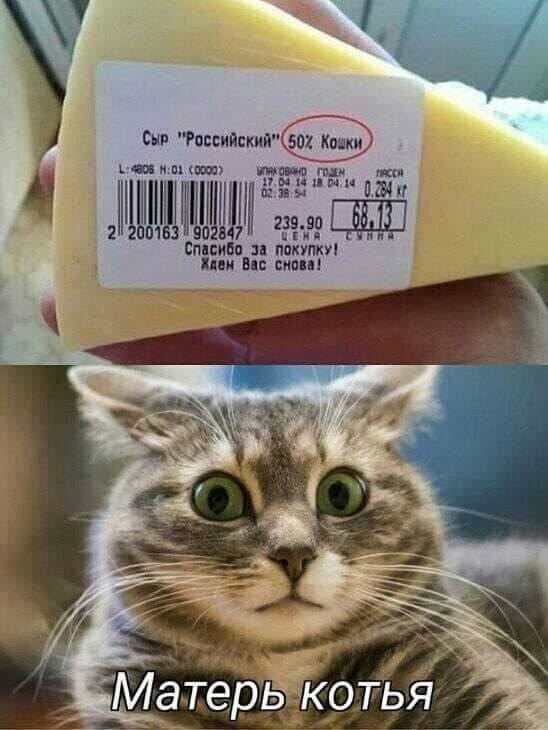 🙀Сыыыыр!😹 —  в восхитительном настроении
♦
https://www.facebook.com/groups/405152260196516/?multi_permalinks=1212980596080341