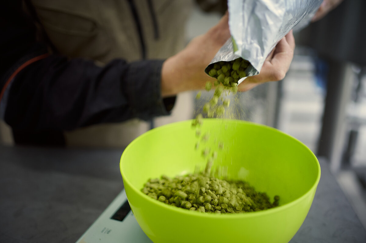 Хмель бывает цельным с минимальной его обработкой (правильно высушенный и хранимый в специальных условиях) и гранулированным (первоначально высушенный, перемолотый в порошок, а после спрессованный в гранулы