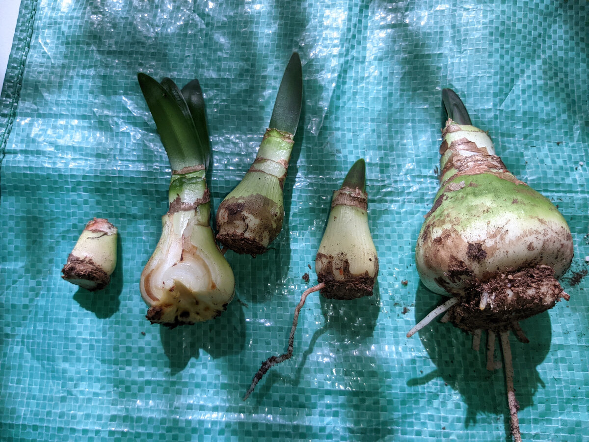 В итоге должно получиться так.